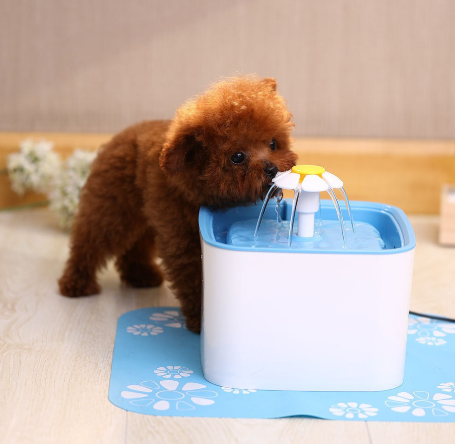 Automatic Pet Water Fountain